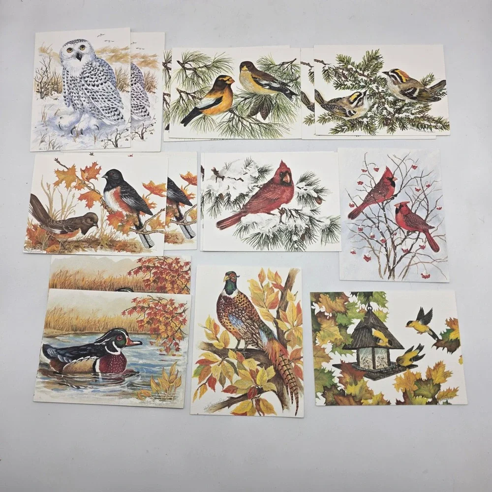 John Cornacchio Bird Note Cards 16ct Multicolor Wildlife Art Stationery Set USA